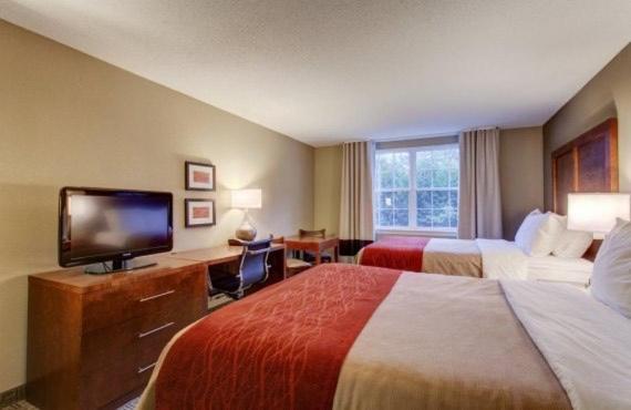 Comfort & Hotel